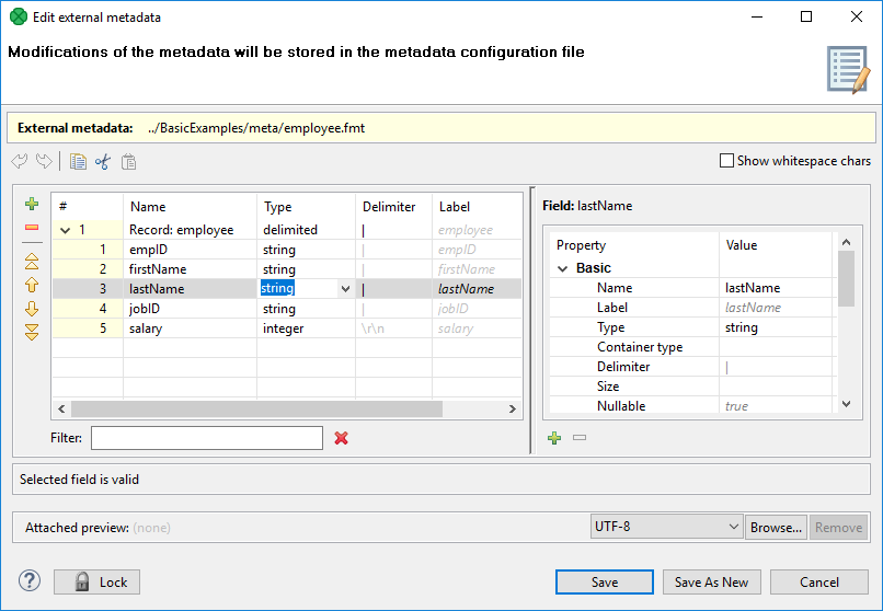 Metadata Editor for a Delimited File