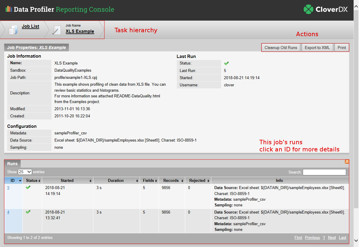 DataProfiler reportingConsole GUI