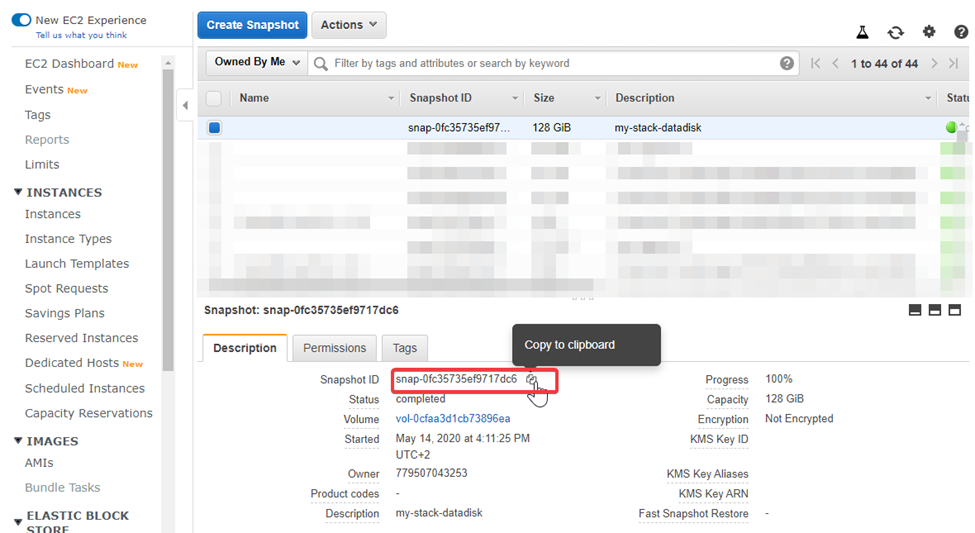 marketplace aws upgrade datadisk snapshot id