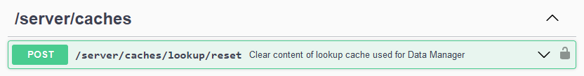 server api lookup cache reset