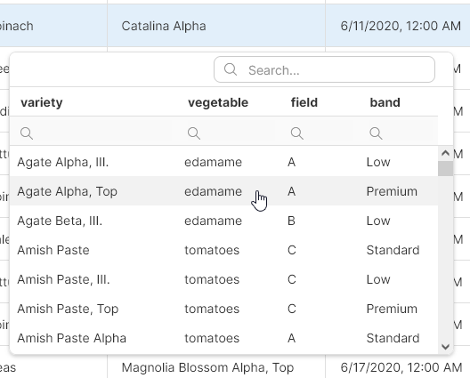 data manager lookup multiple columns