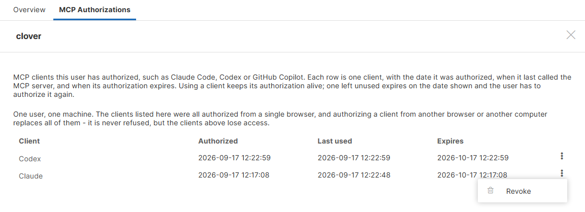 user mcp authorizations